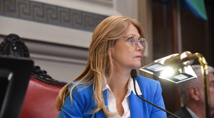 Magario convoca a más comisiones y demora el nuevo decreto, en medio de la interna con el kirchnerismo La titular del Senado bonaerense, Verónica Magario, postergó el nuevo decreto de comisiones hasta la próxima semana y puso otras tres en agenda.