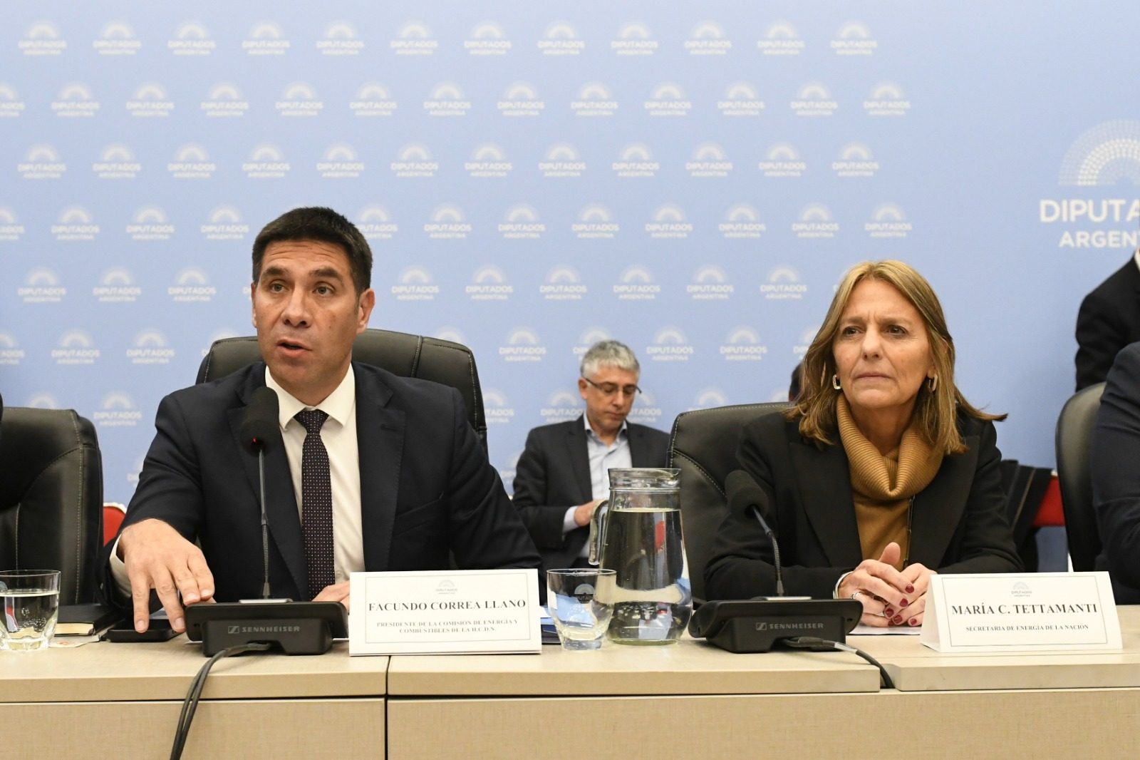 La secretaria de Energía, María Tettamanti, estuvo presente en el plenario de comisiones en Diputados para defender las modificación al régimen de Zona Fría.