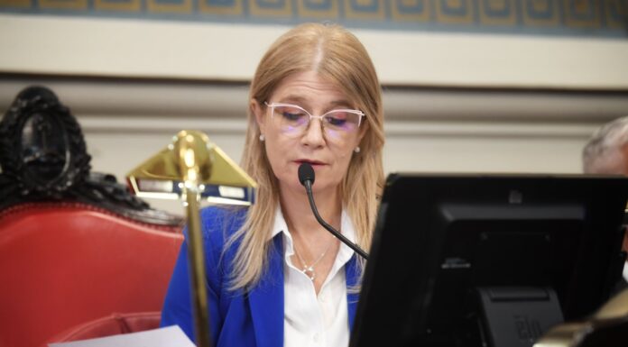 Magario amaga con una sesión para enrocar una vice, que asuma un senador y darle ingreso a proyectos El Senado bonaerense podría sesionar esta semana por primera vez desde marzo. El massismo enrocaría autoridades y un senador opositor asumiría su banca.