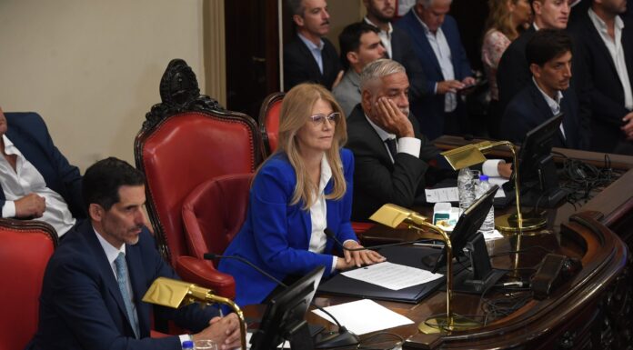 Magario posterga la sesión para enrocar una vice, que asuma un senador y darle ingreso a proyectos El Senado bonaerense podría sesionar la próxima semana por primera vez desde marzo. El massismo enrocaría autoridades y un senador opositor asumiría su banca.