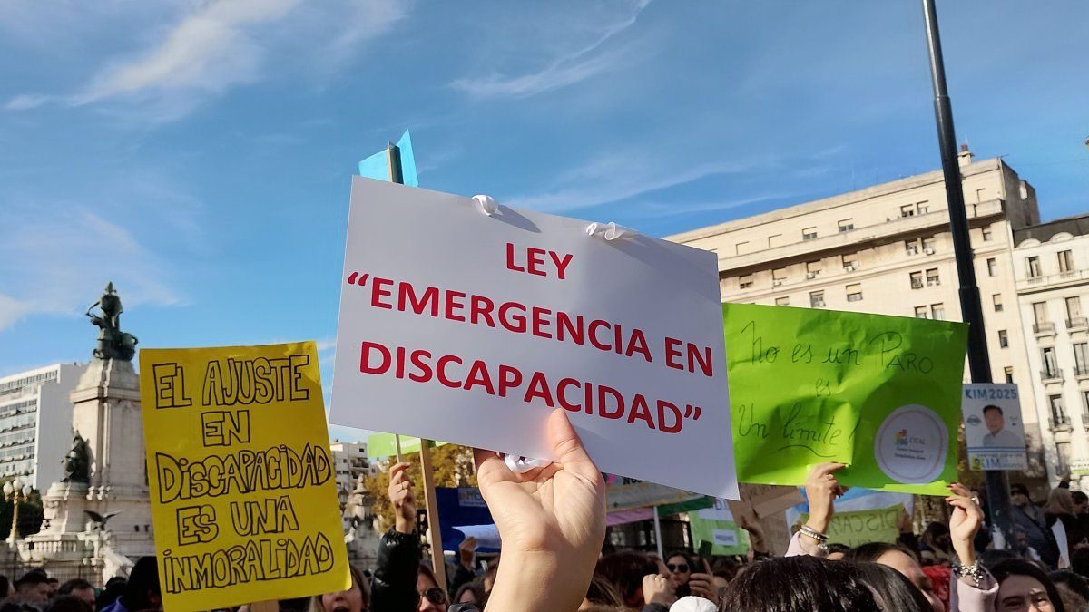 En el conversatorio que se realizó en Diputados, los legisladores y referentes de instituciones cruzaron al Gobierno nacional por los recortes en el área de discapacidad. 