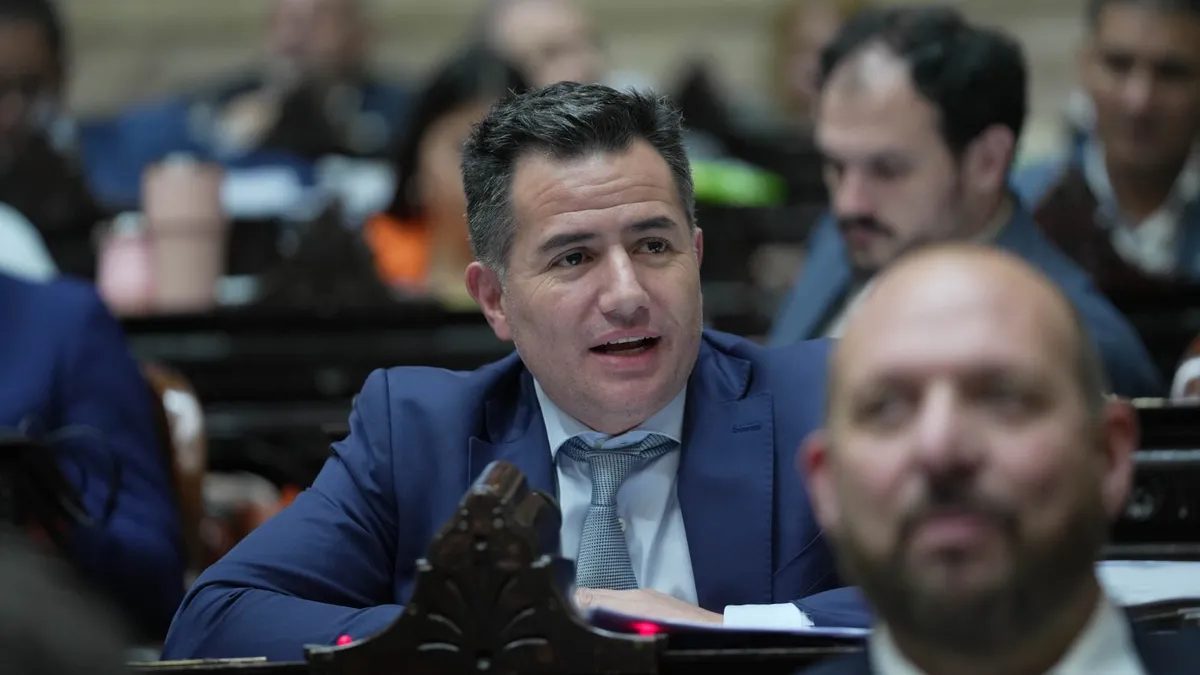 El presidente de bloque de La Libertad Avanza, Gabriel Bornoroni. 