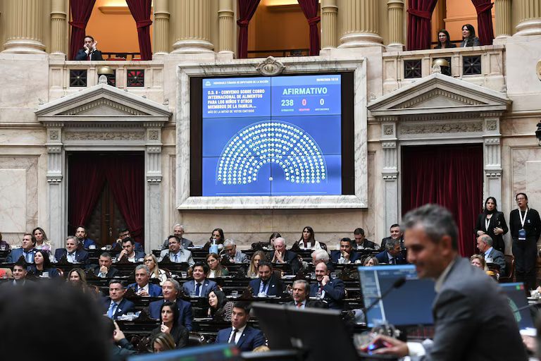 El Gobierno nacional cosechó una nueva victoria legislativa, tras conseguir la media sanción al proyecto que pretende recortar el alcance del Régimen de Zonas Frías.