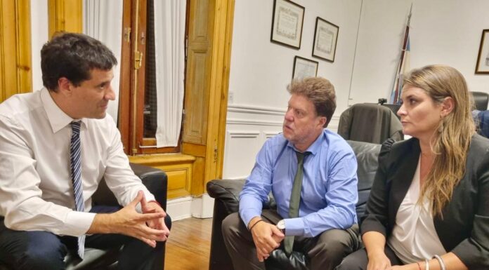 El abadismo presentó su propia reforma electoral: desdoblamiento y PASO, las claves La senadora Nerina Neumann presentó un proyecto de ley que reúne las propuestas del abadismo sobre cómo debería ser el sistema electoral bonaerense.