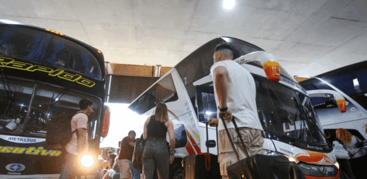 El Gobierno nacional eliminó los subsidios a pasajes de larga distancia para personas con discapacidad, trasplantadas y niños con discapacidad.