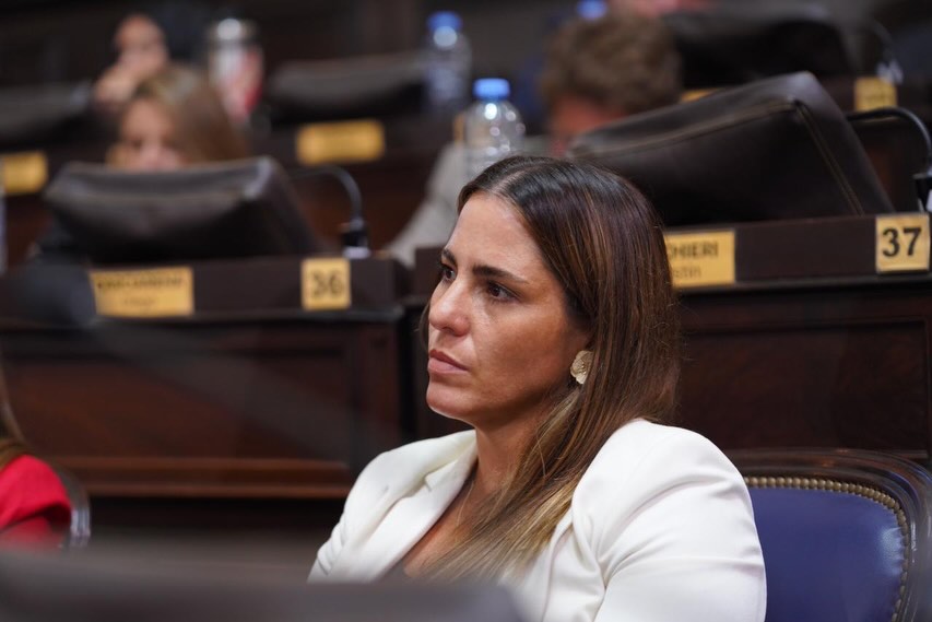 Leticia Bontempo pidió que la provincia de Buenos Aires dé detalles sobre las deudas que tiene con los Hospitales SAMIC y las demoras en la entrega de prótesis para niños que se atienden en el Garrahan. 