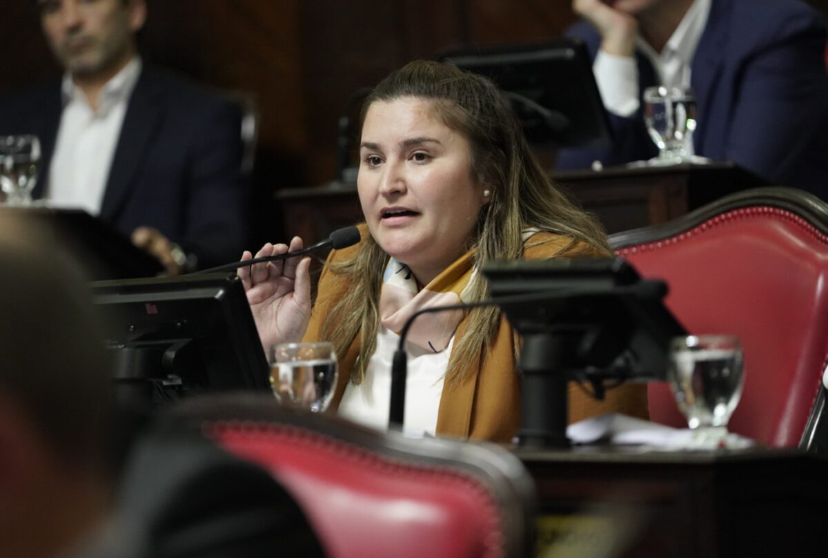 Ayel&eacute;n Dur&aacute;n present&oacute; un proyecto en el Senado bonaerense para rechazar el acuerdo militar entre el Gobierno nacional y el Comando Sur de Estados Unidos.