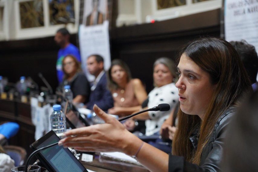 Margarita Recalde desafía la premisa de Nación y propone eximir al transporte de personas con discapacidad del pago de Ingresos Brutos. 