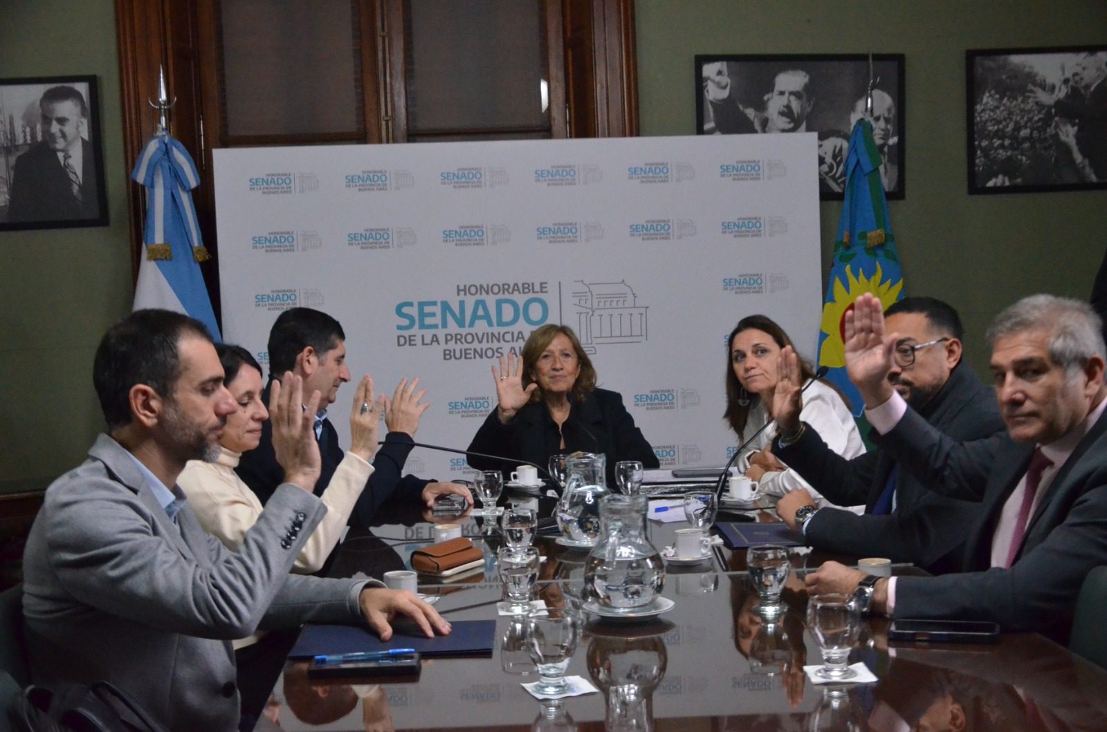 La comisión de Trabajo y Legislación Social del Senado bonaerense quedó integrada por representantes del oficialismo, el PRO, La Libertad Avanza y Unión, Renovación y Fe.