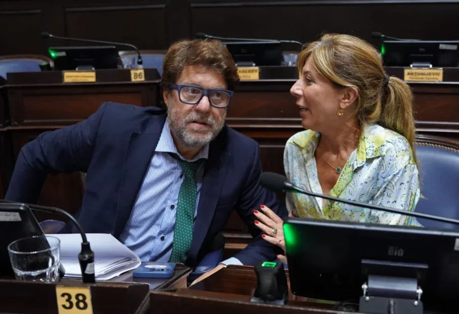 Diego Garciarena y Silvina Vaccarezza son secretarios de las comisiones de Legislación General y Presupuesto e Impuestos, respectivamente.