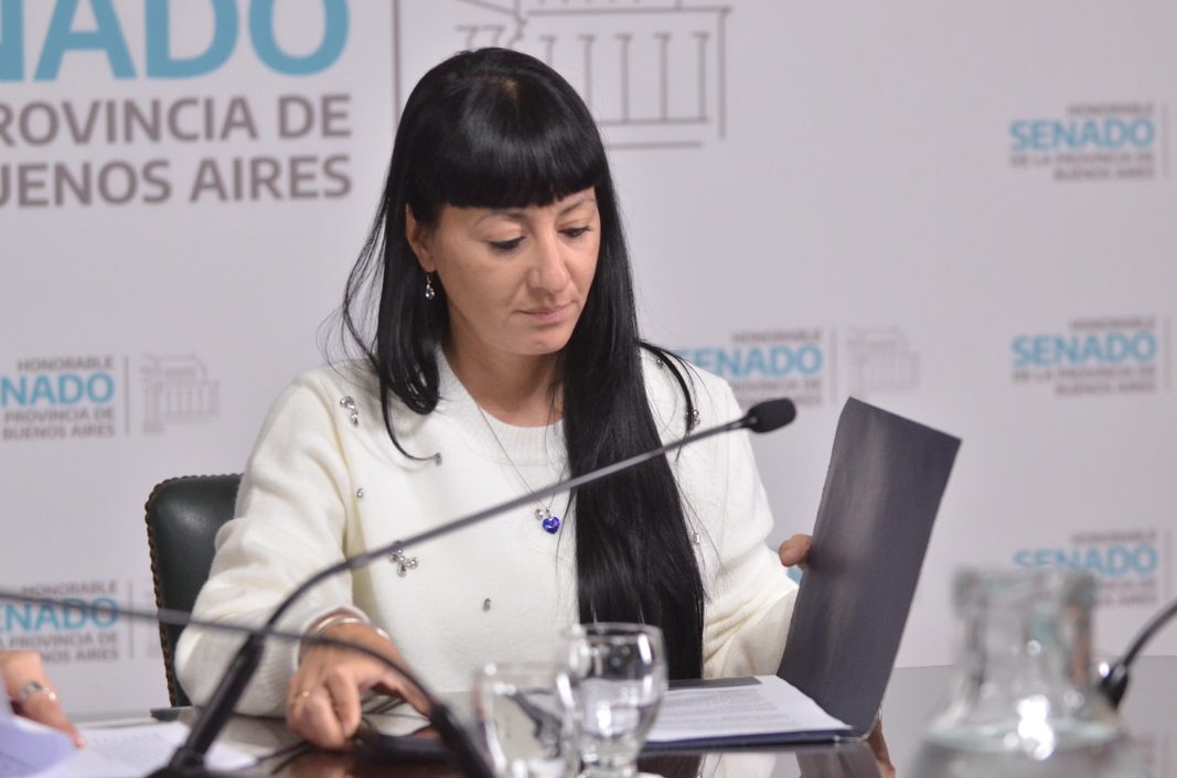 Con críticas al gobierno nacional, la senadora bonaerense, Sabrina Bastida, asumió como titular de la comisión de Libertad de Expresión del Senado bonaerense.