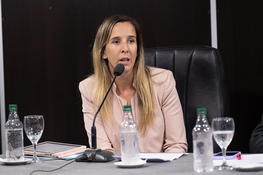 La diputada bonaerense de Fuerza Patria, Lucía Iañez, asumió al frente de la comisión de Asuntos Constitucionales de la Cámara baja.