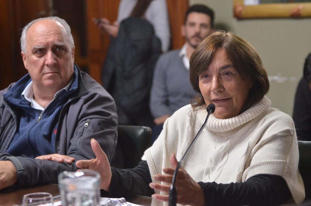 La vice de la comisión María Inés Laurini.