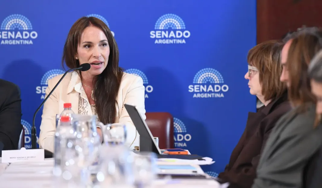 El ministro Juan Bautista Mahiques afirmó que Milei no está obligado a nombrar a María Verónica Michelli, pese al acuerdo otorgado por el Senado.
