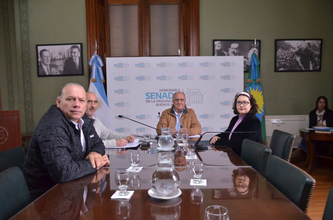 La comisión de Salud del Senado bonaerense avanzó este miércoles con la adhesión a la Ley Nacional de Lactancia Materna.