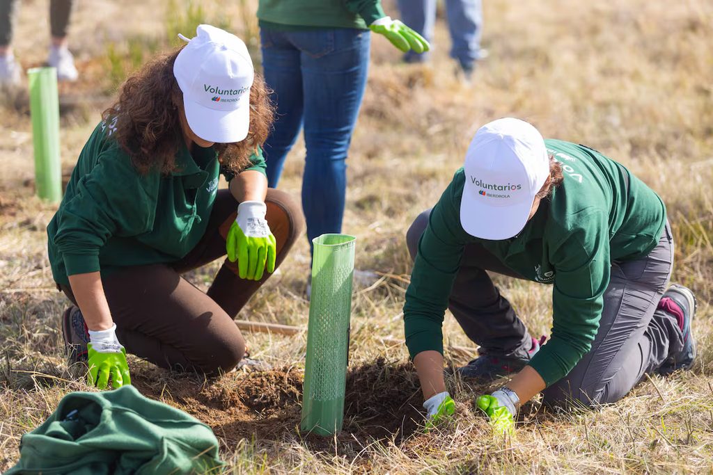 La senadora bonaerense de Fuerza Patria busca institucionalizar un Plan Provincial de Arbolado para cuidar el ambiente y combatir el cambio climático. 