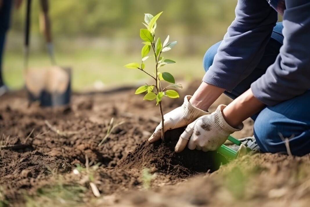 Malena Galmarini presentó un proyecto para crear un Plan Provincial de Arbolado, con la idea de tomar acciones para combatir el cambio climático.