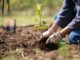 Impulsan una ley de arbolado para combatir el cambio climático en la provincia Malena Galmarini presentó un proyecto para crear un Plan Provincial de Arbolado, con la idea de tomar acciones para combatir el cambio climático.