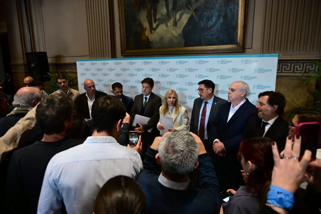 Los diputados bonaerenses de la oposición realizaron una conferencia de prensa tras la sesión especial express del IOMA. Hubo promesas de unidad contra Kicillof.