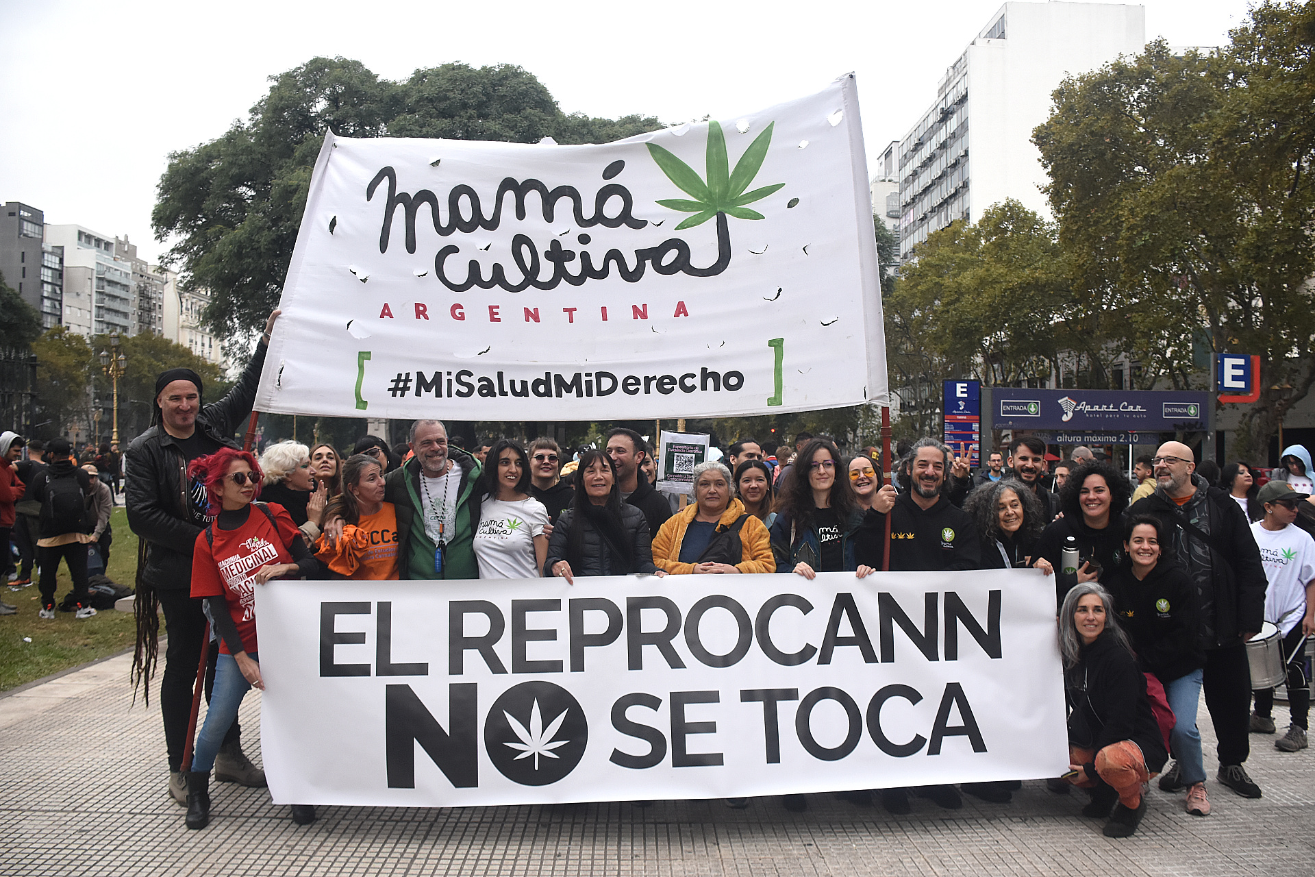 El Gobierno nacional reordenó el REPROCANN y mantuvo su postura restrictiva sobre el cannabis medicinal.