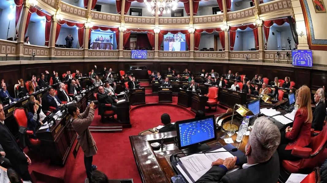 La senadora de Fuerza Patria, Fernanda Raverta, busca institucionalizar licencias por maternidad, paternidad y adopción en el Senado bonaerense.