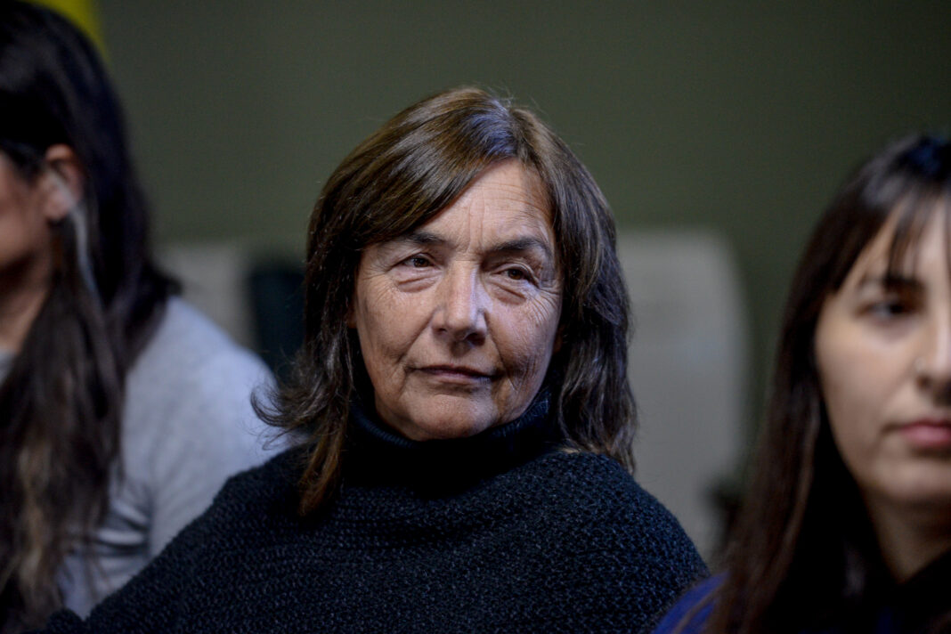La senadora oficialista Inés Laurini alertó por la crisis productiva del centro bonaerense, tras la exposición de la Subsecretaria de Minería en el Senado.