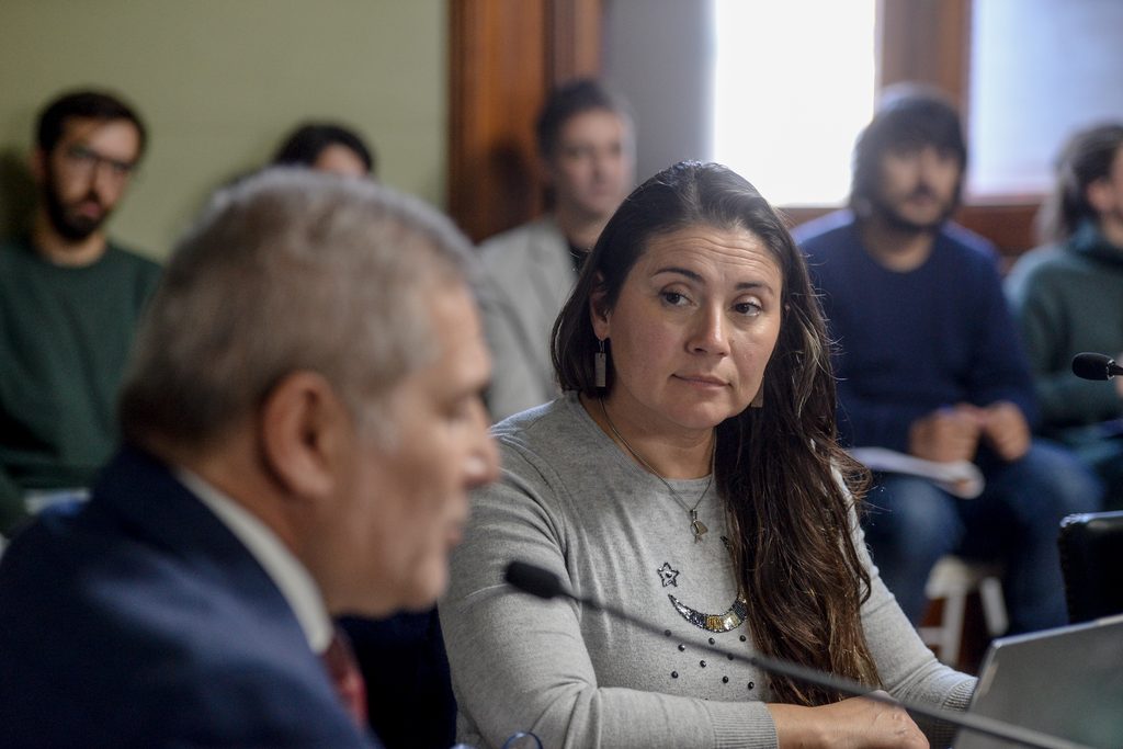 La subsecretaria María Laura Delgado expuso ante la comisión de Industria y Minería del Senado bonaerense.