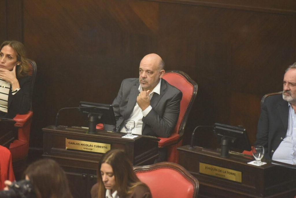 El jefe del bloque de La Libertad Avanza (LLA) en el Senado bonaerense, Carlos Curestis, exigió al gobernador Axel Kicillof convocar de manera urgente al Consejo de Seguridad.