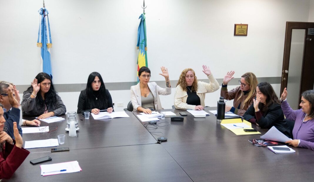Con el tratamiento de seis expedientes, Mayra Mendoza encabezó la primera reunión ordinaria de la comisión de Educación de la Cámara de Diputados.