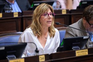 La diputada bonaerense, Silvina Vaccarezza, alertó por la caída en varios sectores de la actividad económica "La recesión golpea de lleno", subrayó.