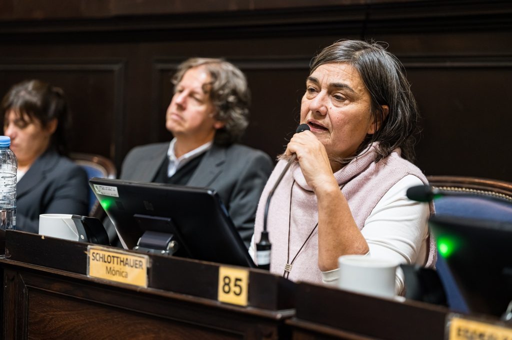 La diputada bonaerense de Izquierda, Mónica Schlotthauer, expresó su preocupación ante el desfinanciamiento que lleva adelante el Gobierno nacional a los trenes argentinos. 
