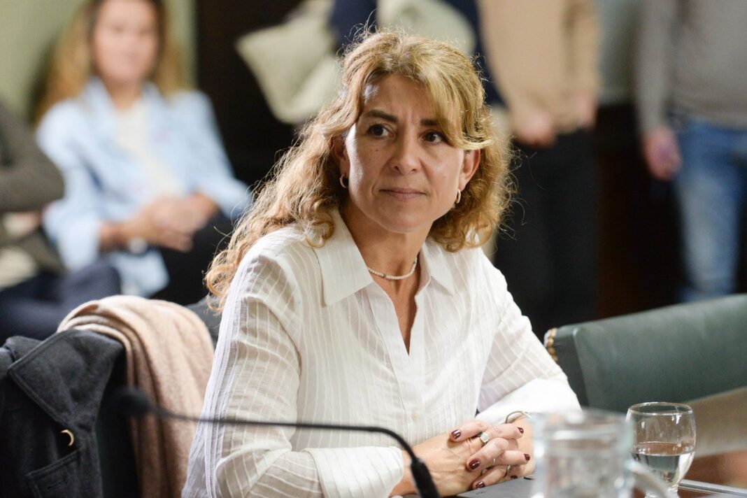 La senadora bonaerense Hechos, Natalia Quintana, denunció las deficiencias del nuevo sistema de transporte para personas con discapacidad que implementó el Gobierno de Javier Milei.