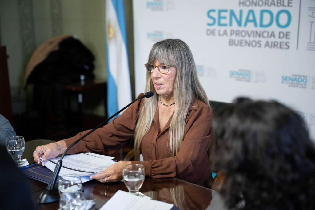 Ley Ema: la autora del proyecto, Laura Clark consideró como proioritario fortalecer la capacidad de las escuelas para actualizar las herramientas pedagógicas.