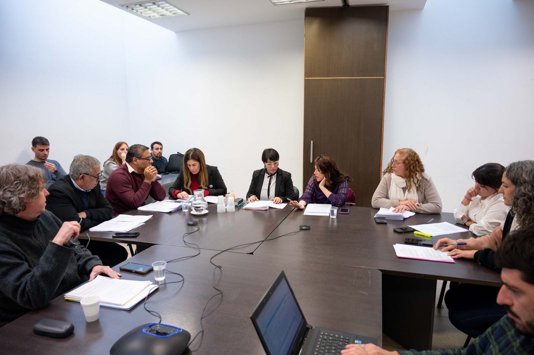 La comisión de Trabajo de Diputados bonaerenses avanzó con proyectos sobre empleo, inclusión y reclamos por la crisis industrial en la provincia.