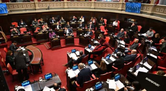 El Senado designó a parte de sus representantes en el Consejo de la Magistratura: cómo quedó el esquema El senador kirchnerista Mario Ishii pidió que en la sesión de esta tarde se traten sus proyectos de emergencia. El silencio del kicillofismo y el por qué se enojó la oposición.