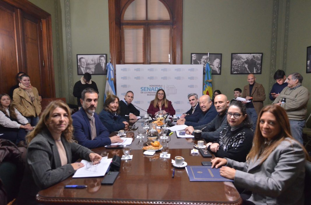 La senadora de Fuerza Patria, Valeria Arata, puso en marcha la comisión de Presupuesto que en su primera reunión ordinaria trató proyectos del periodo legislativo anterior.
