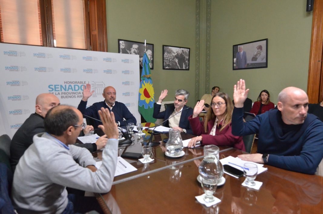 La comisión de Relaciones Internacionales y Comercio Exterior del Senado bonaerense dio luz verde a varios proyectos de ley y de declaración.