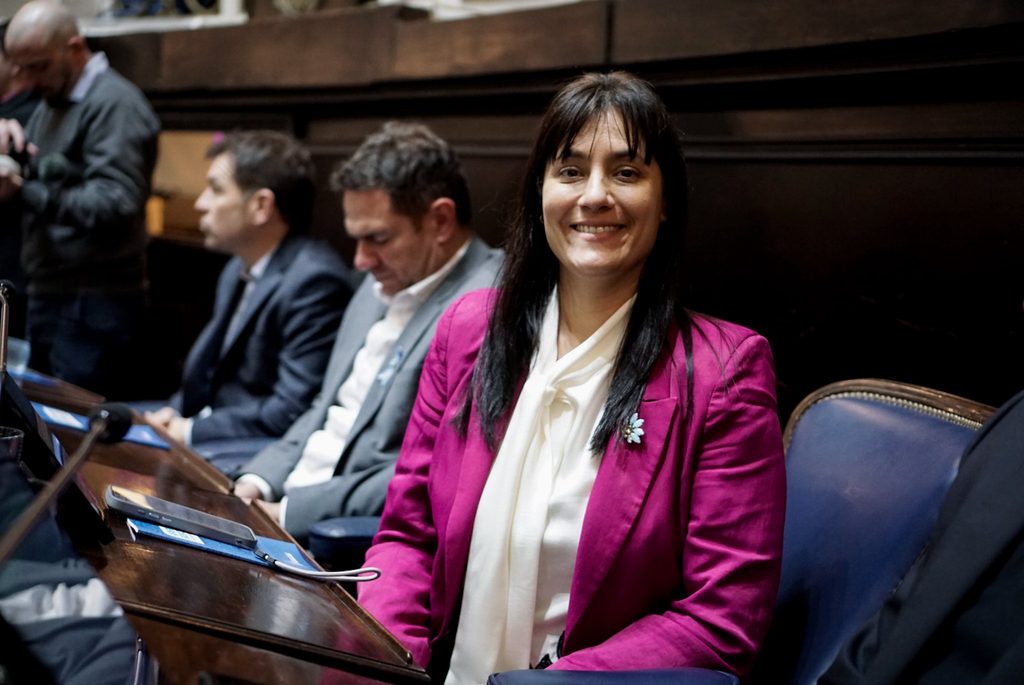 En Diputados, la massista Sofía Vannelli fue la que más proyectos de ley presentó durante junio.