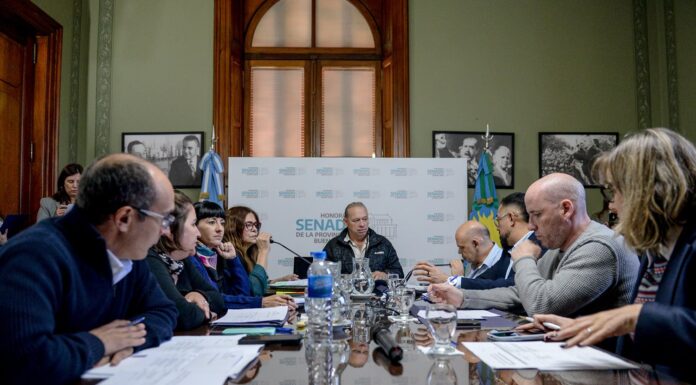 El Senado hace la plancha en medio del Mundial y convoca a sólo dos comisiones El Senado bonaerense ya agendó las reuniones de dos comisiones parlamentarias para la próxima semana. Cuáles son.
