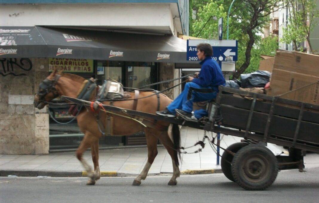 Romina Braga y Pablo Morillo presentaron proyectos con distintos enfoques para erradicar el uso de caballos para tirar carros en la provincia de Buenos Aires.