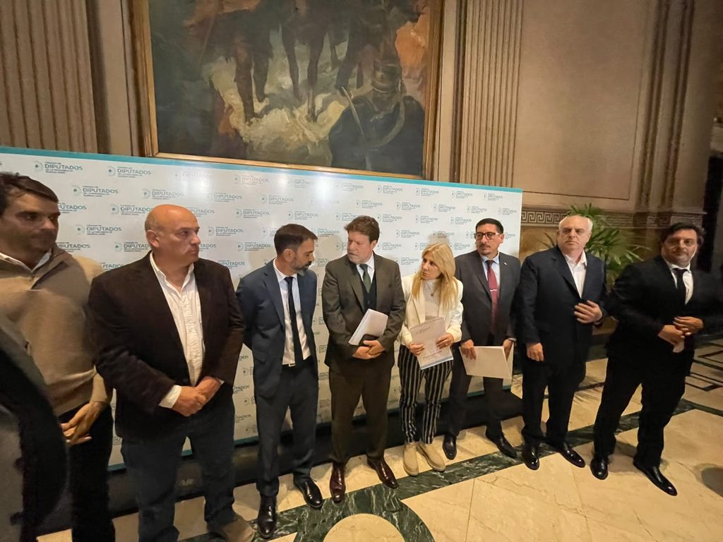 Aunque el FIT-U no firmó el pedido de sesión especial del 11 de junio, sus legisladores aportaron el quórum para debatir la crisis prestacional del IOMA.