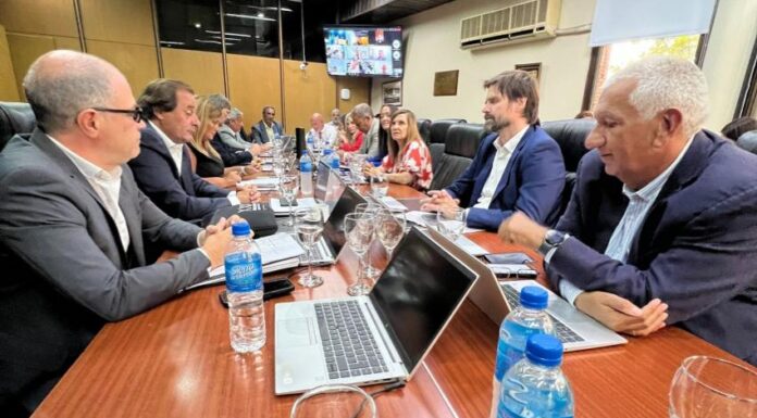 LLA y el PRO pulsean por quedarse con el último casillero del Consejo de la Magistratura El trámite para llenar la última casilla del Consejo de la Magistratura está trabado debido a una pulseada entre La Libertad Avanza y el PRO.