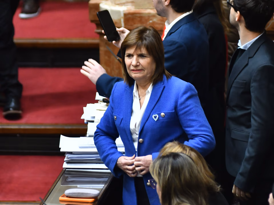 La jefa de bloque de La Libertad Avanza en el Senado buscará aprobar la primera ley para el Gobierno.