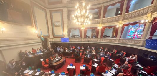 La Libertad Avanza logró que la parejista María Cecilia Martínez sea la última consejera titular por la Legislatura en el Consejo de la Magistratura.