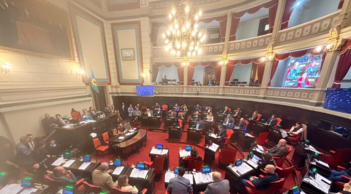 LLA le ganó la pulseada al PRO y se quedó con el último sillón del Consejo de la Magistratura La Libertad Avanza logró que la parejista María Cecilia Martínez sea la última consejera titular por la Legislatura en el Consejo de la Magistratura.