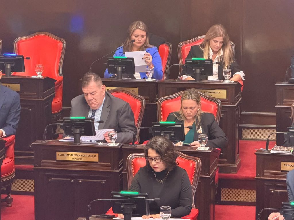 Senadores bonaerenses del PRO y La Libertad Avanza cruzaron al peronismo por intentar frenar la privatización de Chapadmalal. “No sigan interviniendo desde La Plata”, lanzaron.