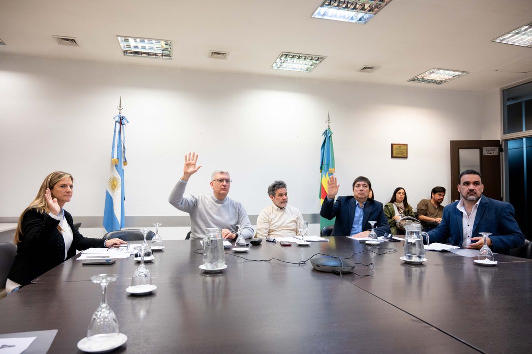 La comisión de Servicios Públicos avanzó con el proyecto de Civale para que grandes consumidores eléctricos aporten recursos a los municipios.
