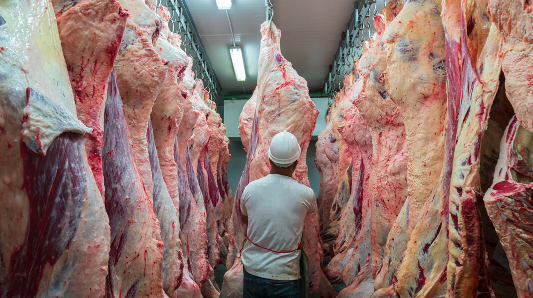 El diputado de Fuerza Patria, Carlos Puglelli, alertó sobre el crecimiento de la importación de carne y el impacto que tiene sobre el empleo y la producción en Argentina.