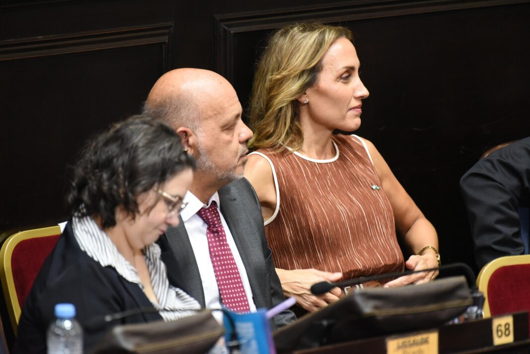 En medio de la cruzada del presidente Javier Milei con la Selección Argentina, senadores bonaerenses libertarios salieron a respaldar una postura de la ONU sobre Malvinas.