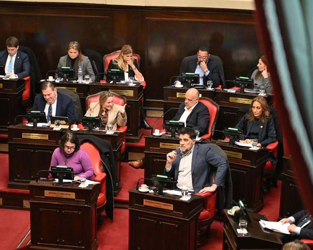 Una delegación de legisladores se reunió con el ministro de Salud nacional, Mario Lugones, para analizar el proyecto de creación de la empresa de medicamentos estatal impulsado por Kicillof.